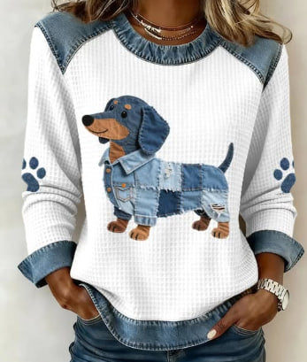 Lindo suéter para perro